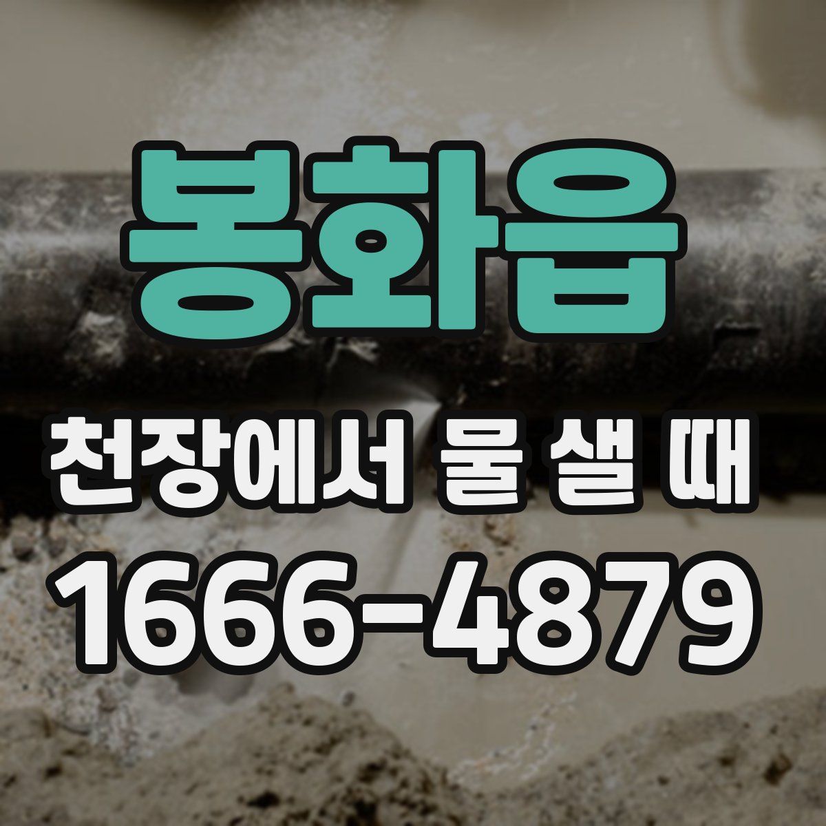 봉화읍 천장에서 물 샐 때
