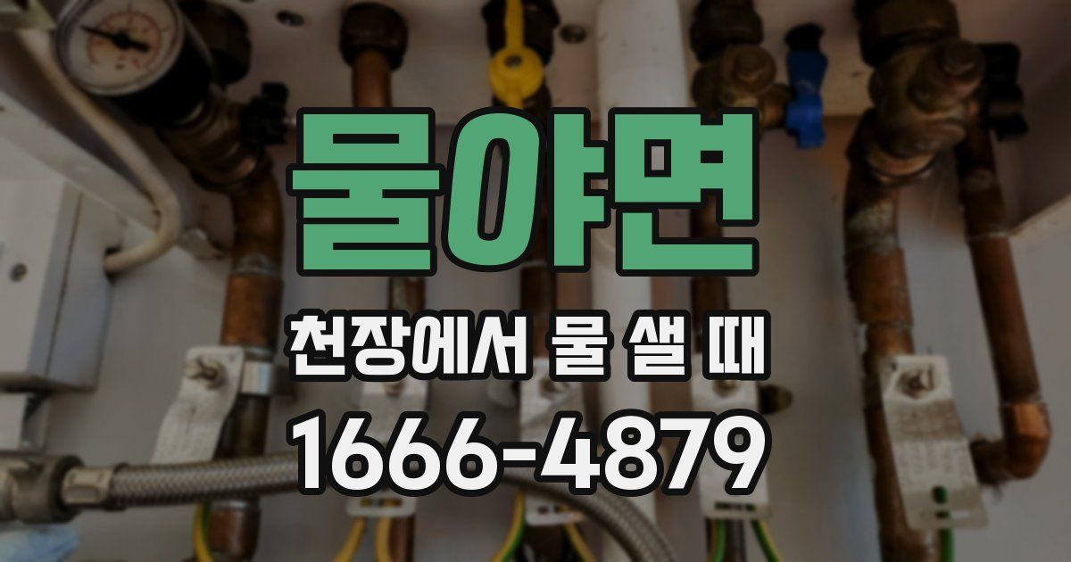 물야면 천장에서 물 샐 때