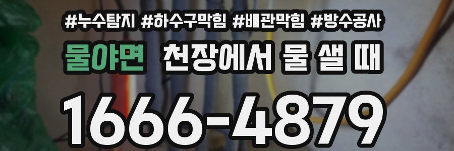 물야면 천장에서 물 샐 때