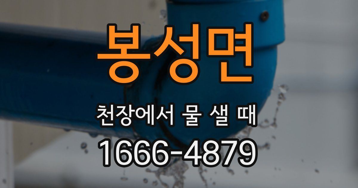 봉성면 천장에서 물 샐 때