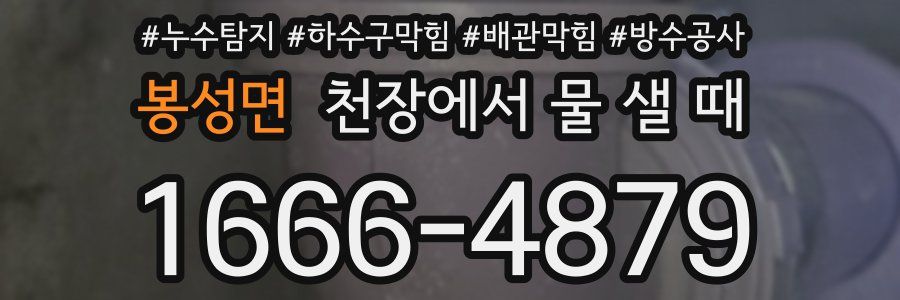 봉성면 천장에서 물 샐 때