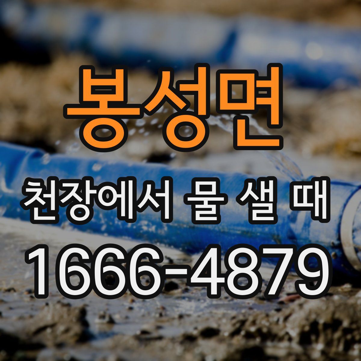 봉성면 천장에서 물 샐 때