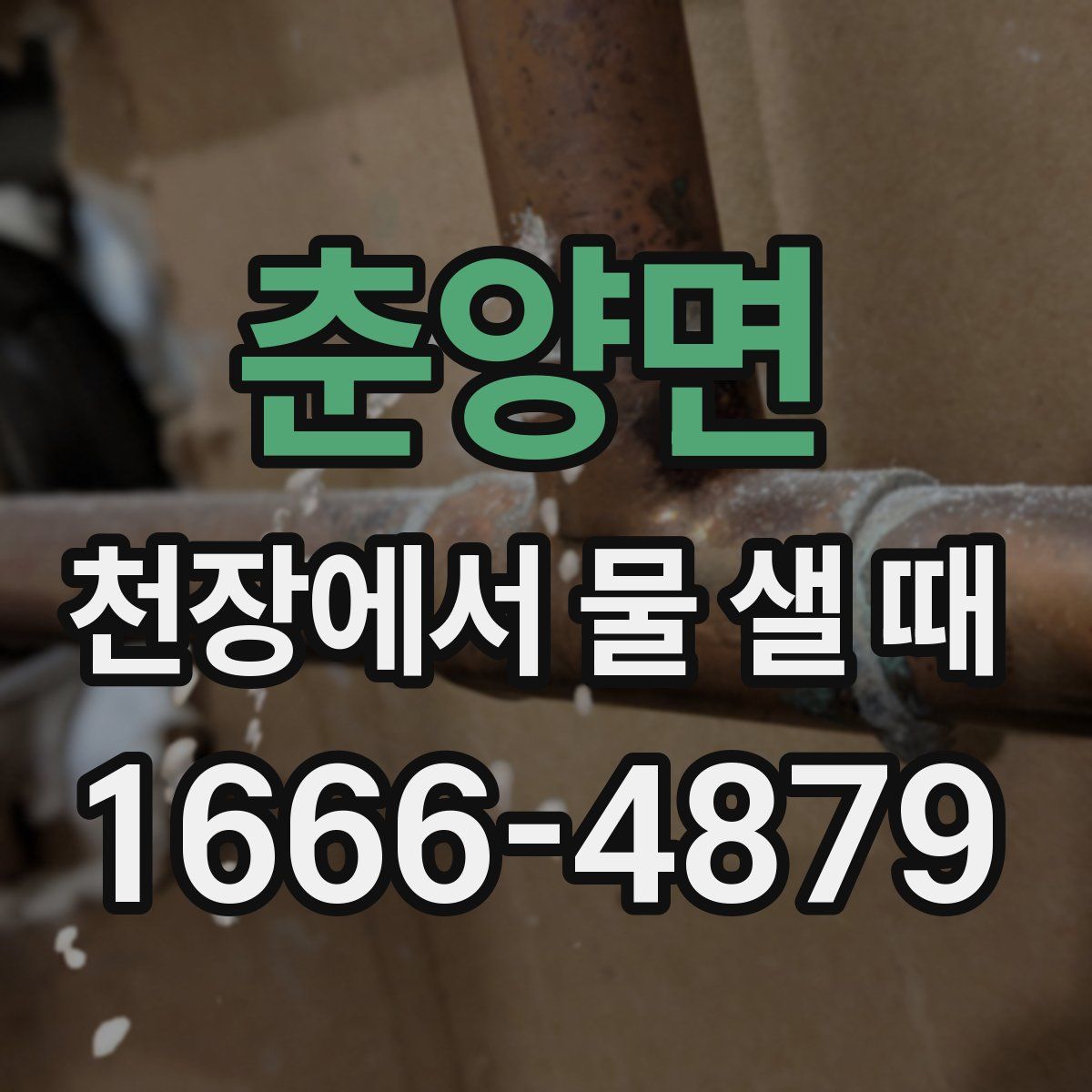춘양면 천장에서 물 샐 때