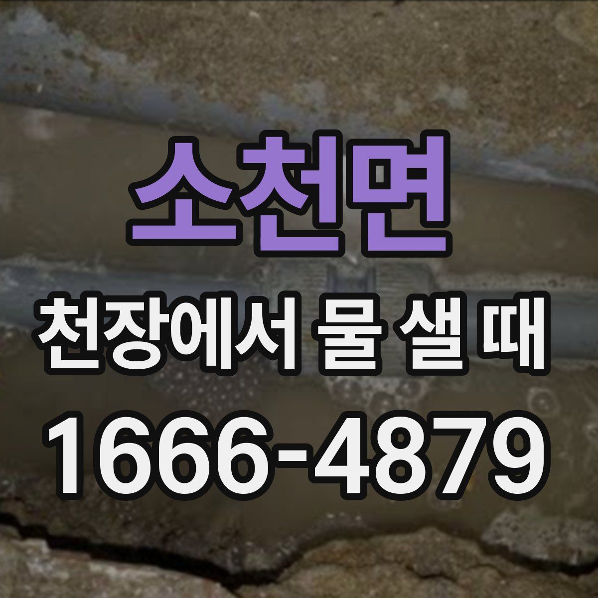소천면 천장에서 물 샐 때