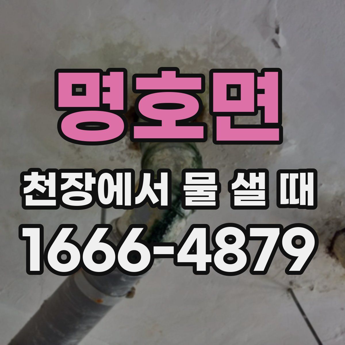 명호면 천장에서 물 샐 때