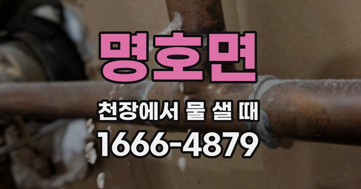 명호면 천장에서 물 샐 때