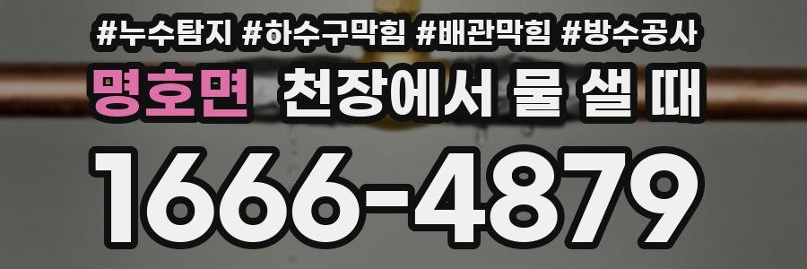 명호면 천장에서 물 샐 때