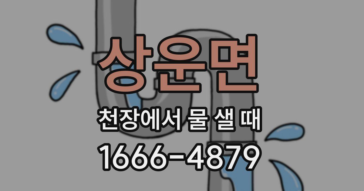 상운면 천장에서 물 샐 때