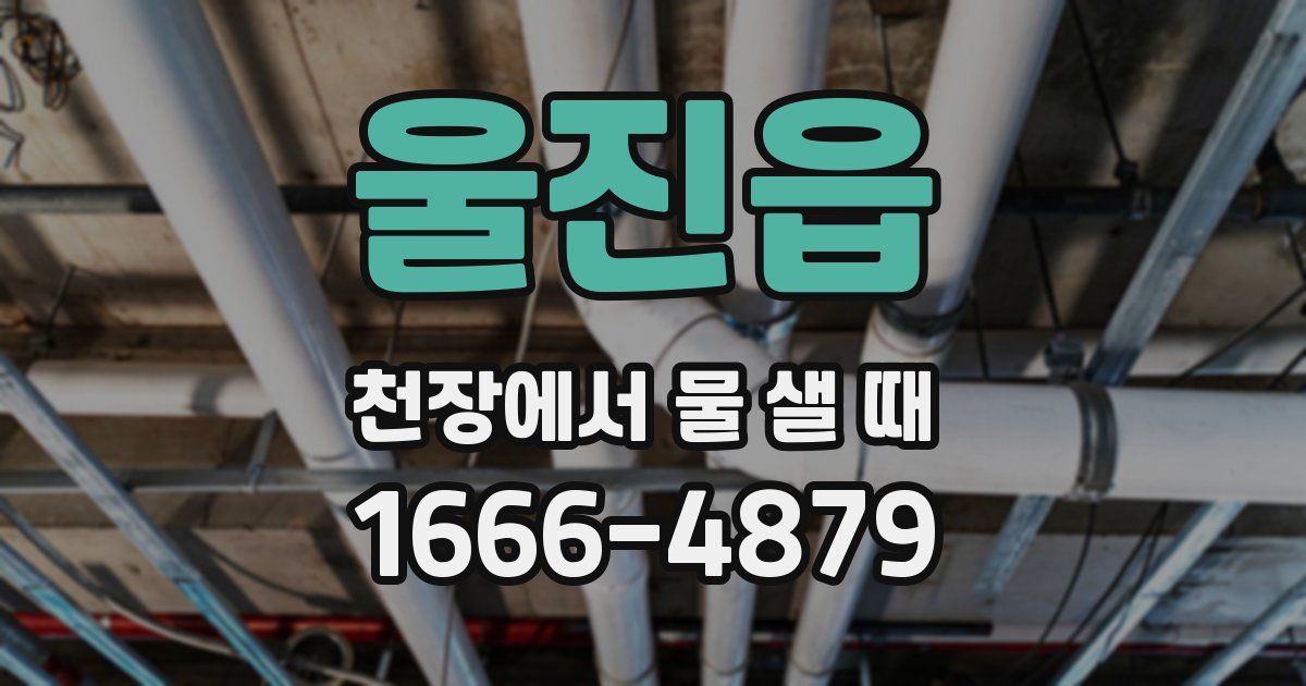 울진읍 천장에서 물 샐 때