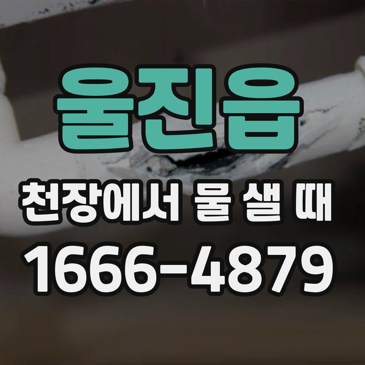 울진읍 천장에서 물 샐 때