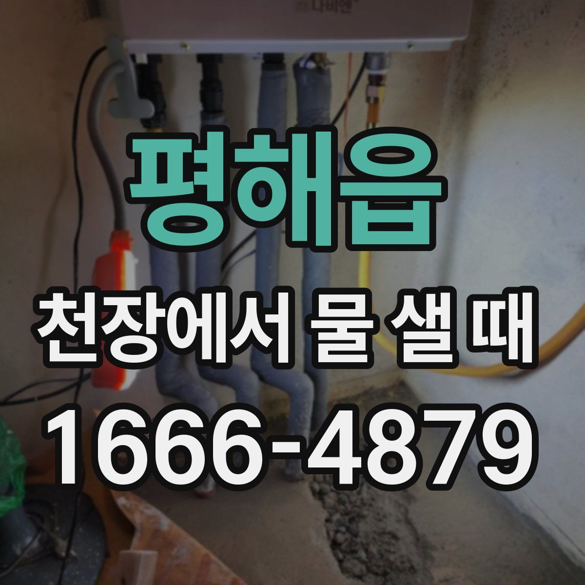 평해읍 천장에서 물 샐 때