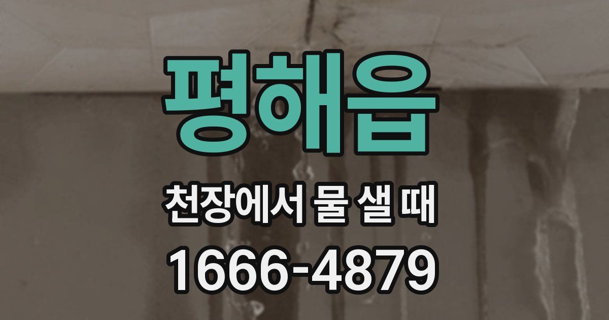 평해읍 천장에서 물 샐 때
