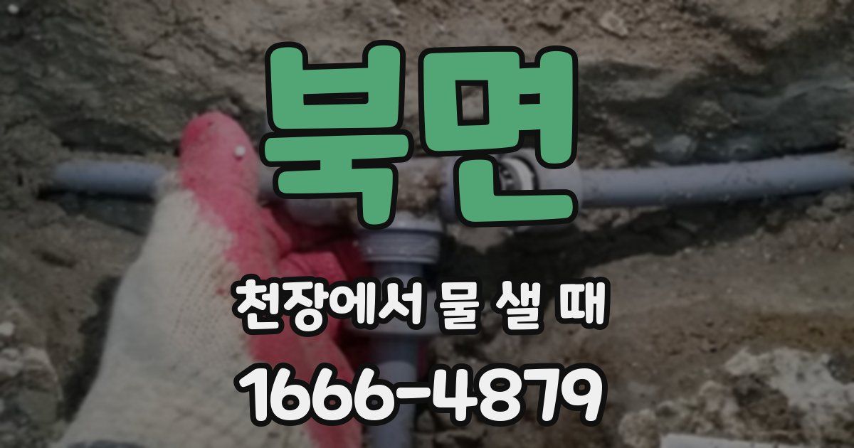북면 천장에서 물 샐 때