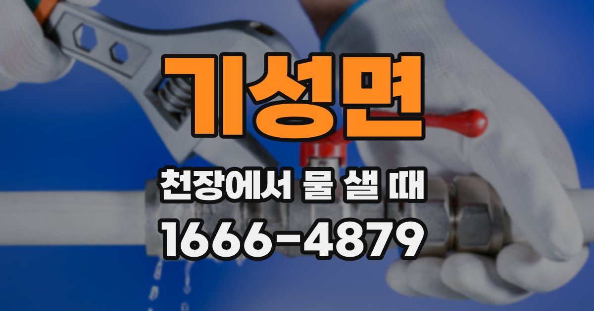 기성면 천장에서 물 샐 때