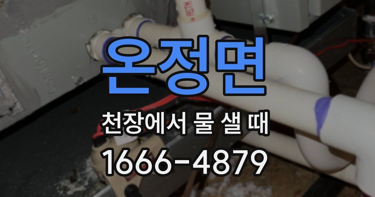 온정면 천장에서 물 샐 때