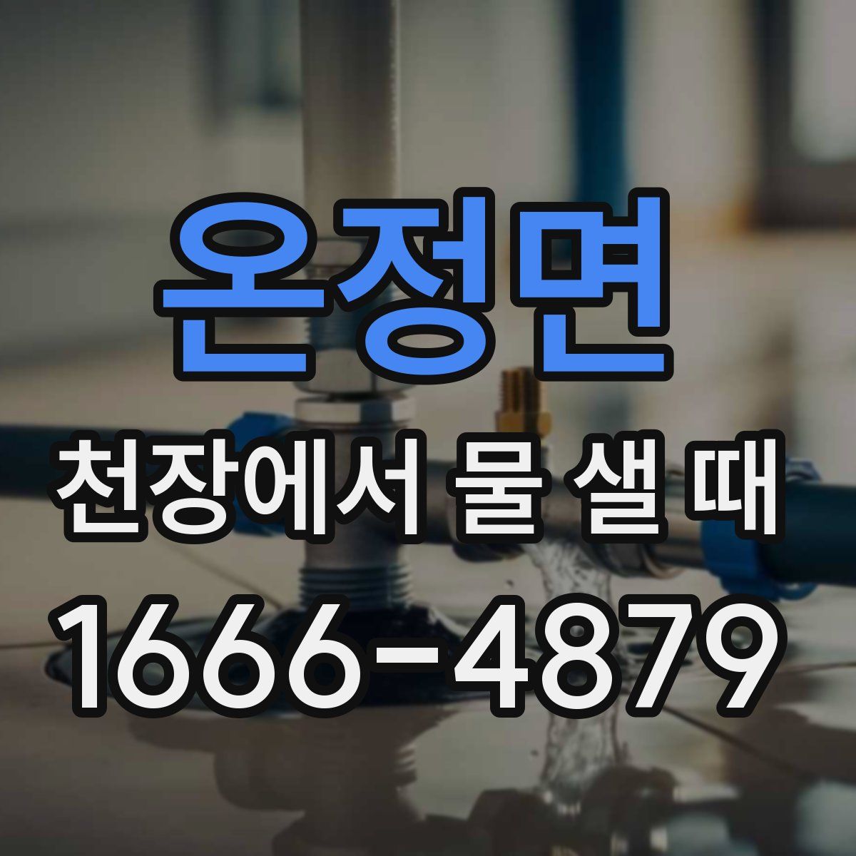 온정면 천장에서 물 샐 때