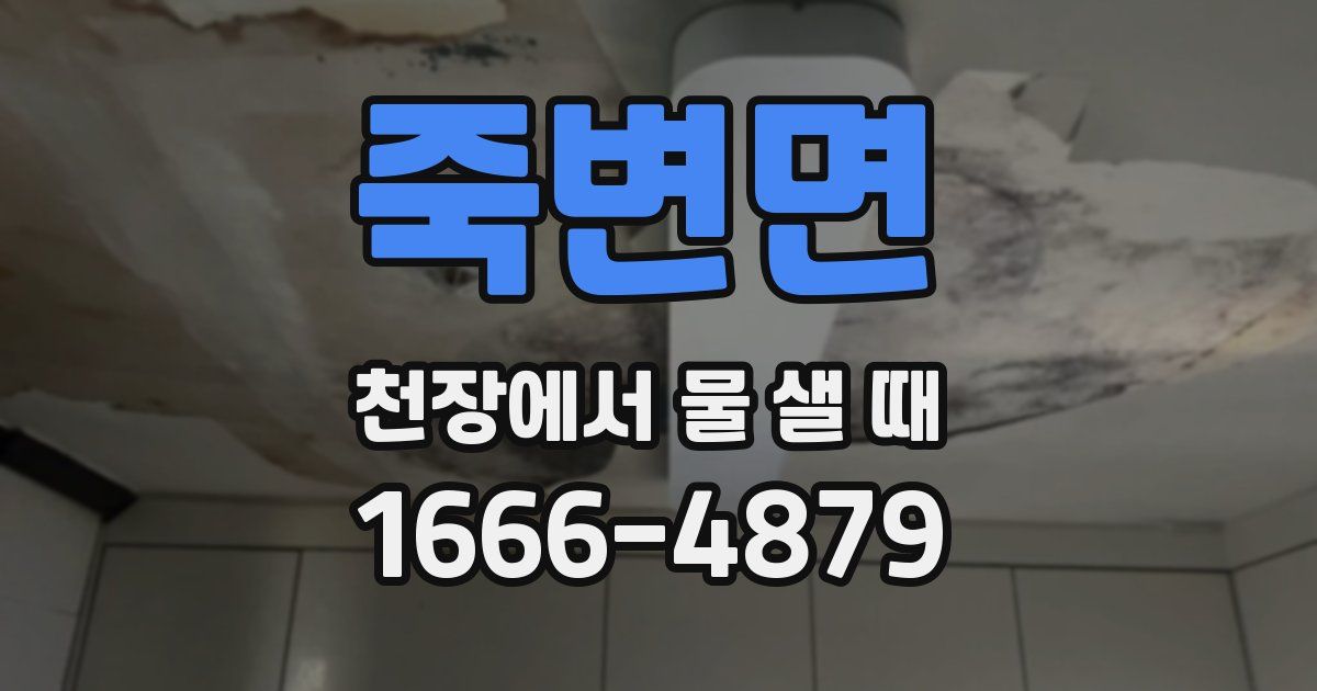 죽변면 천장에서 물 샐 때