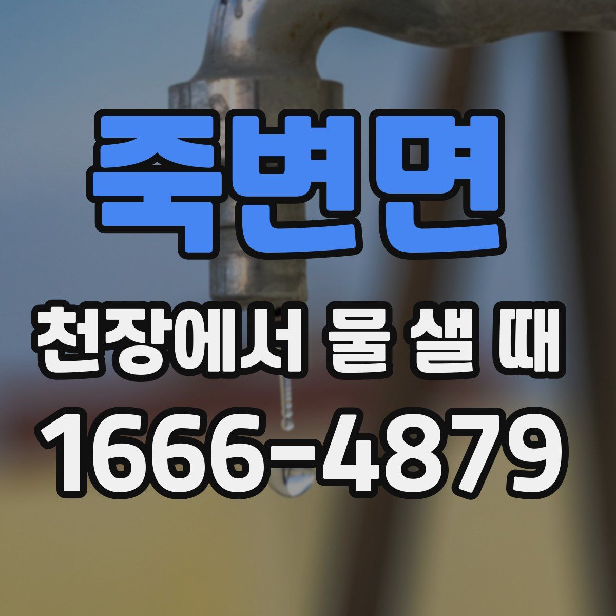 죽변면 천장에서 물 샐 때