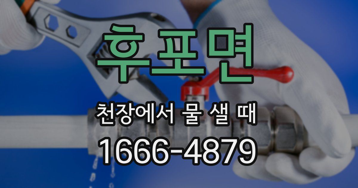 후포면 천장에서 물 샐 때