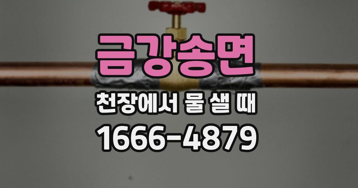 금강송면 천장에서 물 샐 때