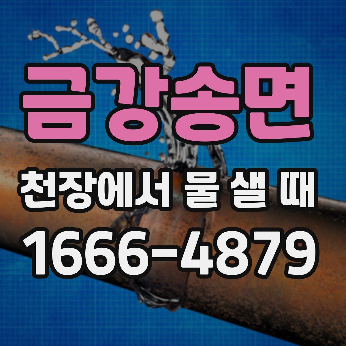 금강송면 천장에서 물 샐 때