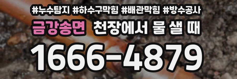 금강송면 천장에서 물 샐 때