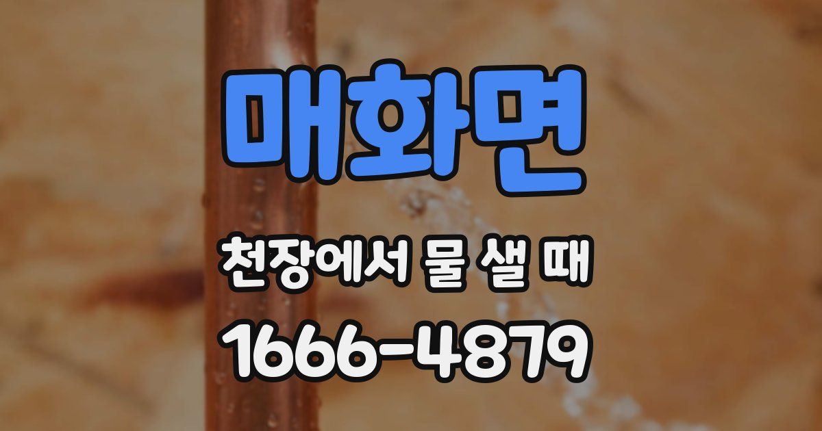 매화면 천장에서 물 샐 때