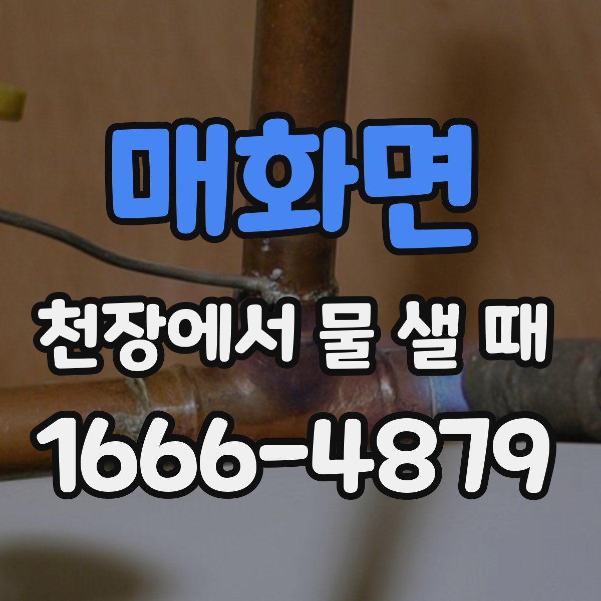 매화면 천장에서 물 샐 때