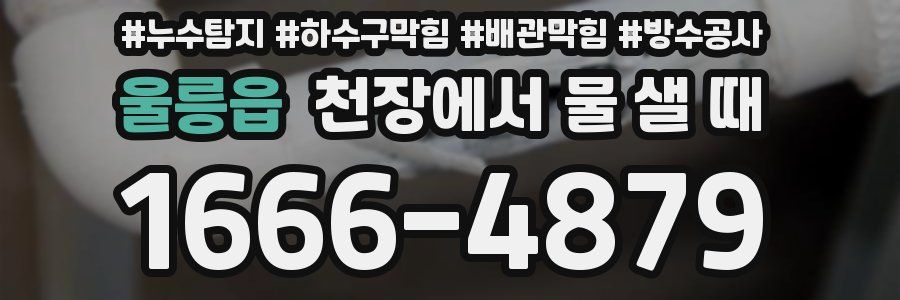 울릉읍 천장에서 물 샐 때