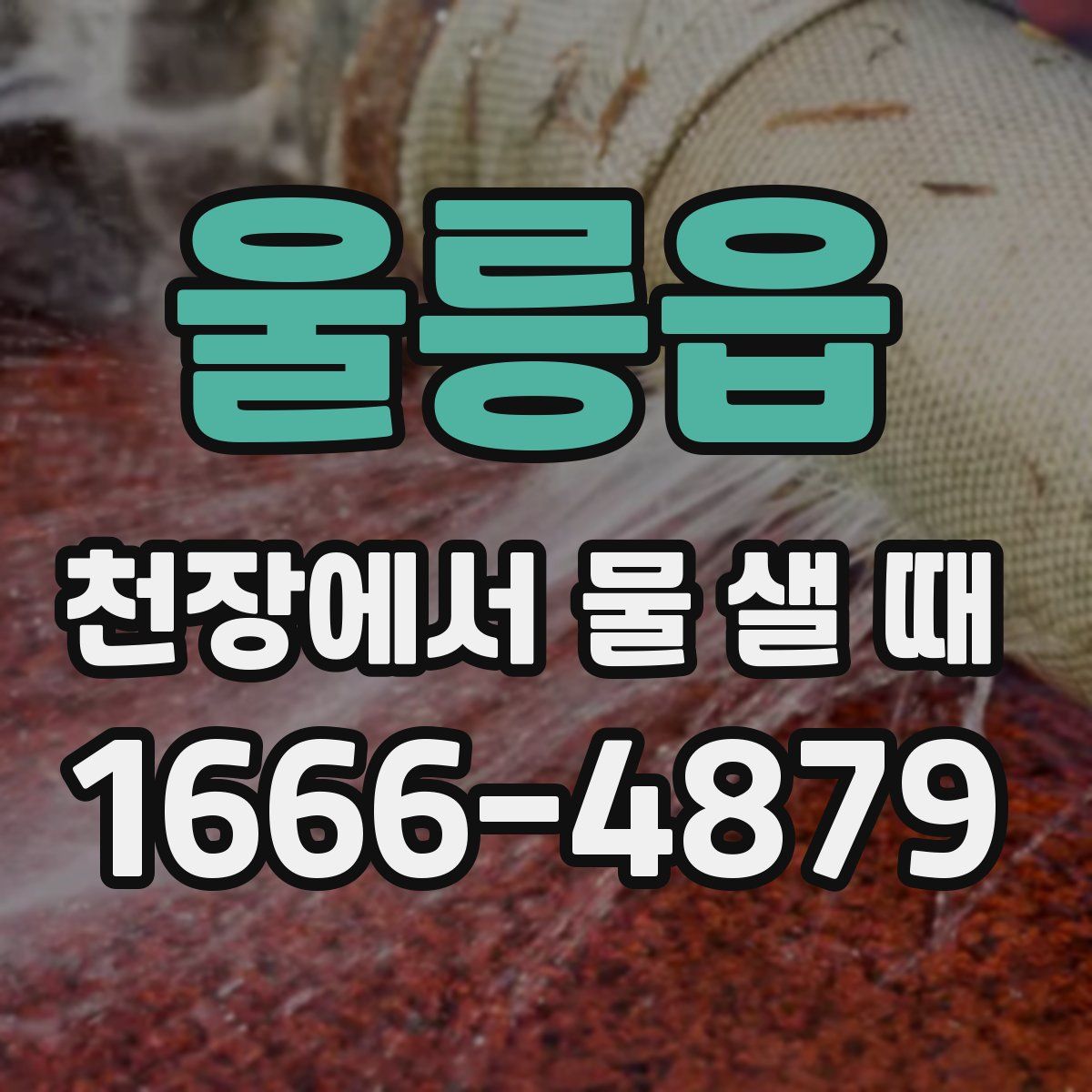 울릉읍 천장에서 물 샐 때