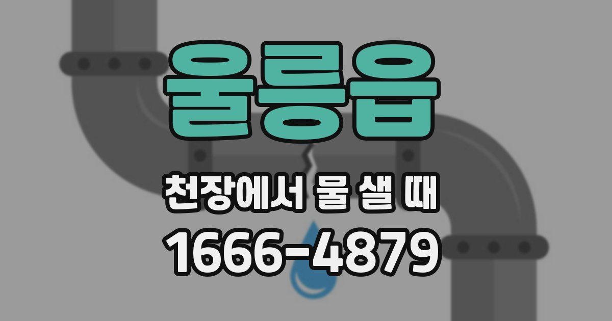 울릉읍 천장에서 물 샐 때