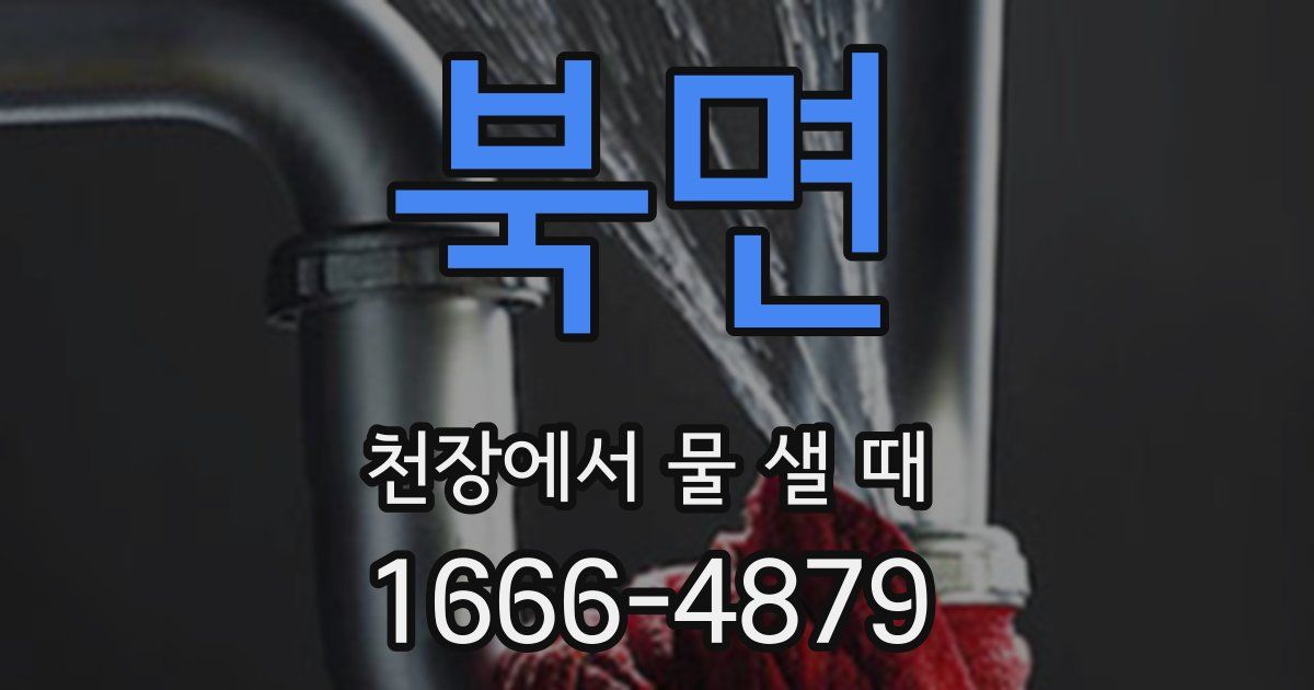 북면 천장에서 물 샐 때