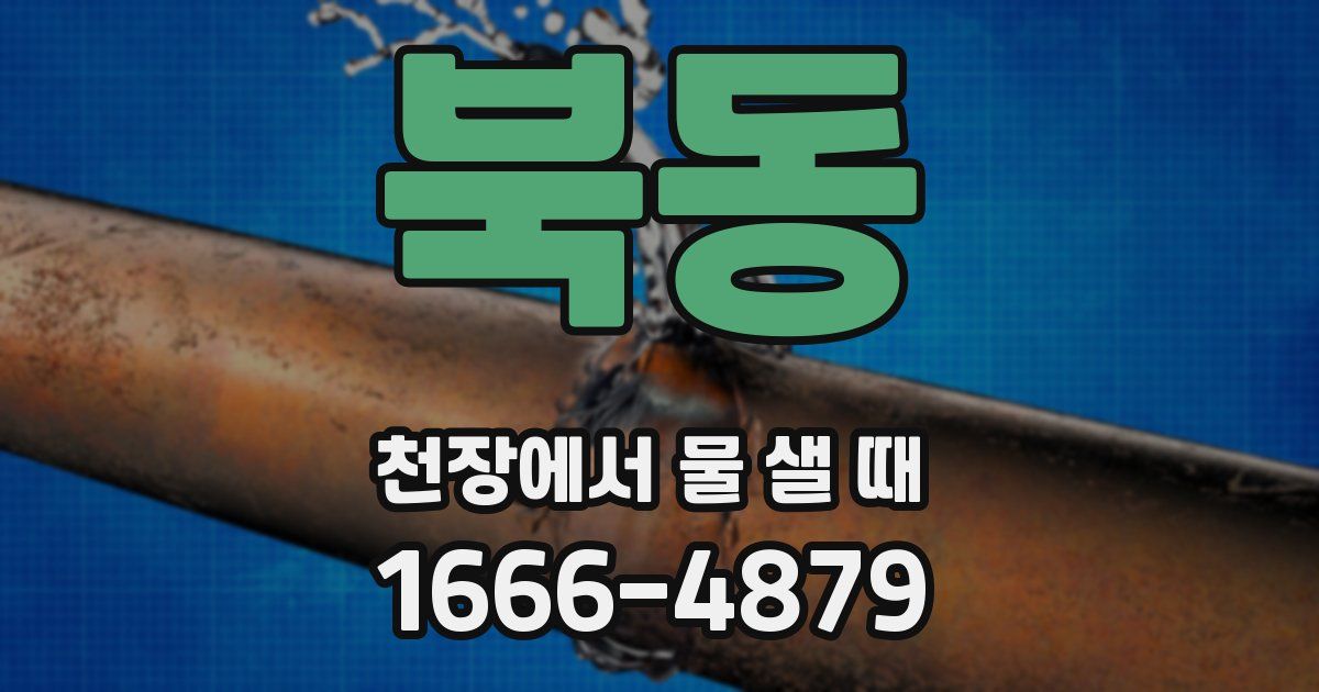 북동 천장에서 물 샐 때
