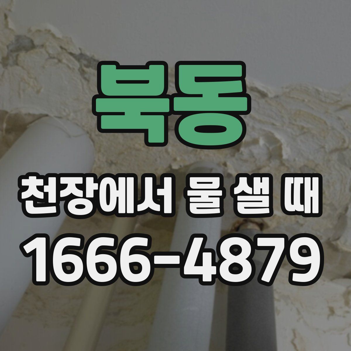 북동 천장에서 물 샐 때