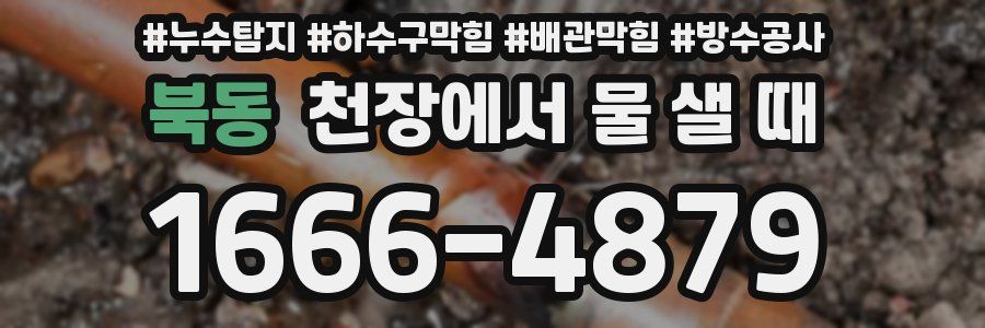 북동 천장에서 물 샐 때