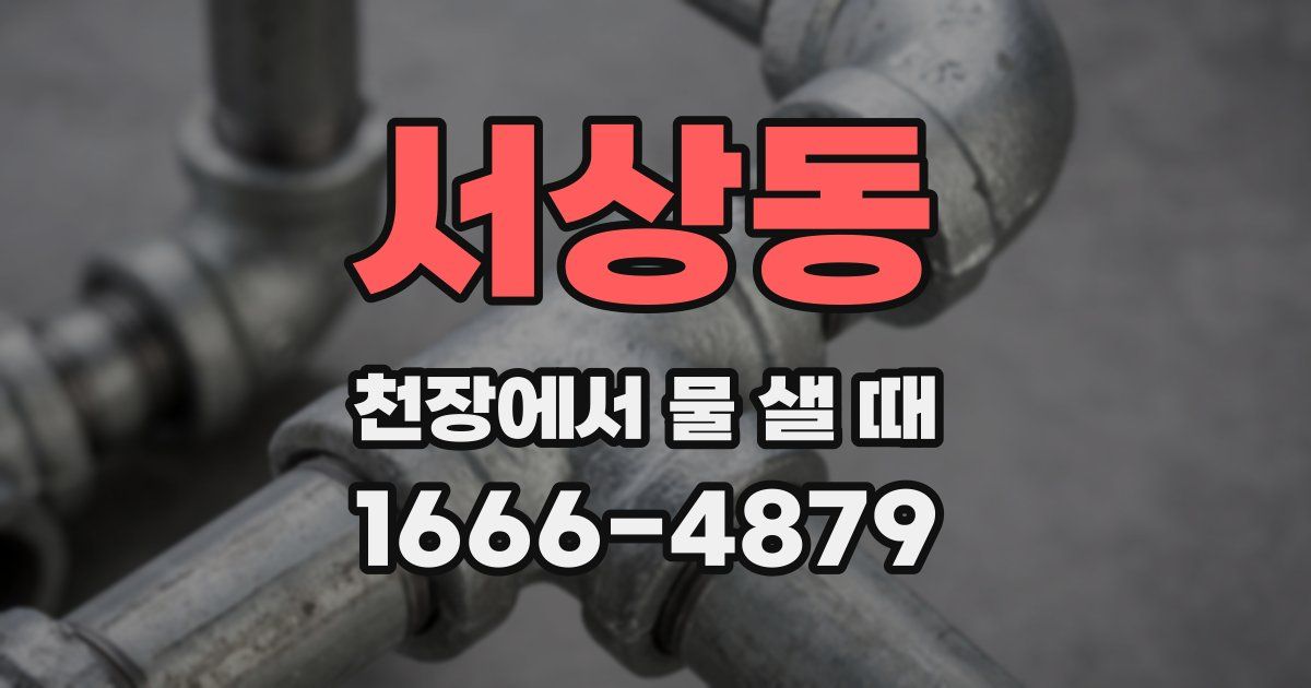서상동 천장에서 물 샐 때
