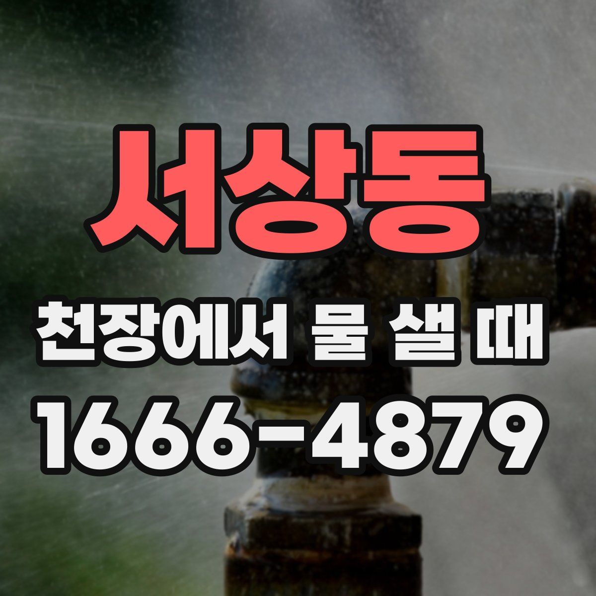 서상동 천장에서 물 샐 때