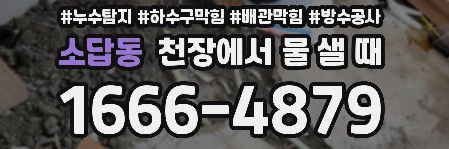 소답동 천장에서 물 샐 때