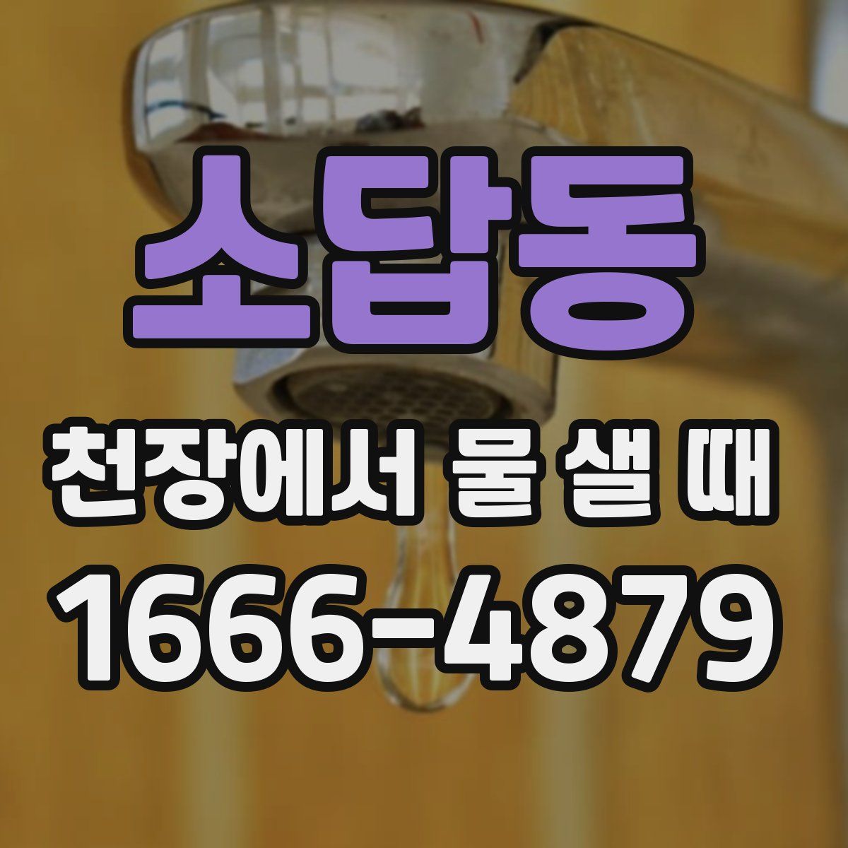 소답동 천장에서 물 샐 때