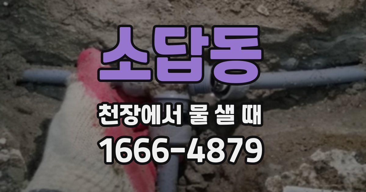 소답동 천장에서 물 샐 때