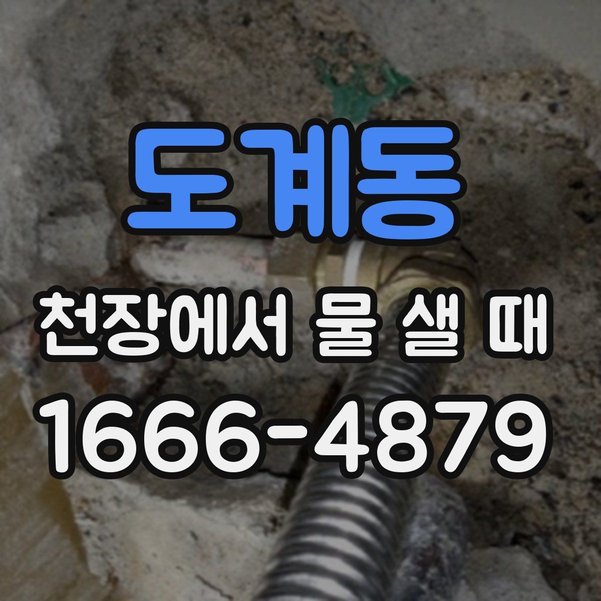 도계동 천장에서 물 샐 때