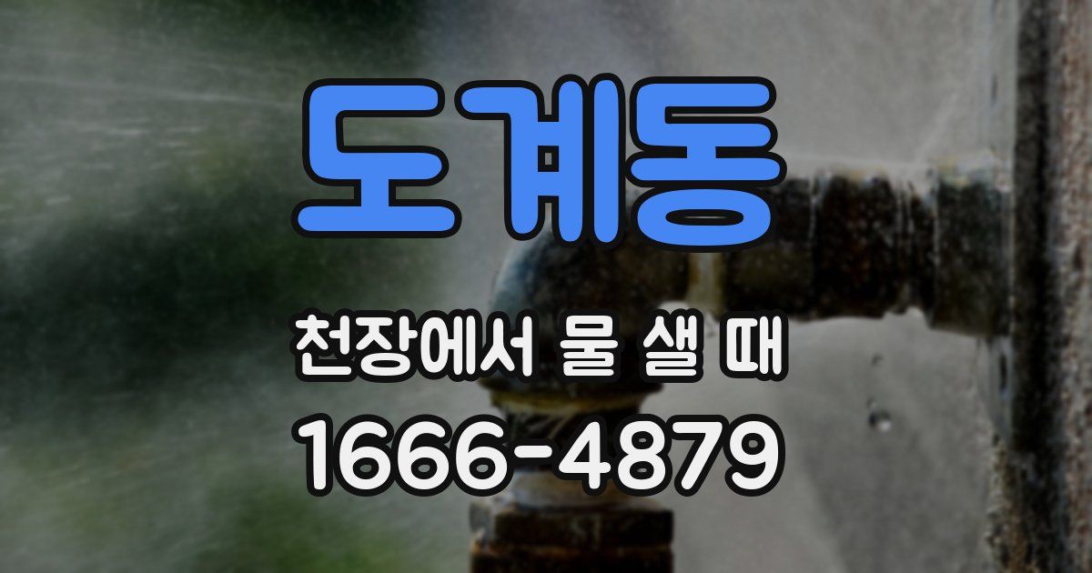 도계동 천장에서 물 샐 때