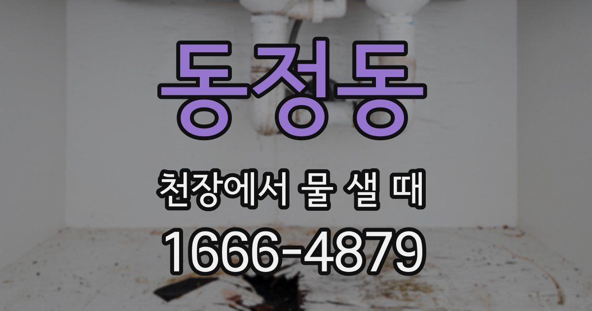 동정동 천장에서 물 샐 때