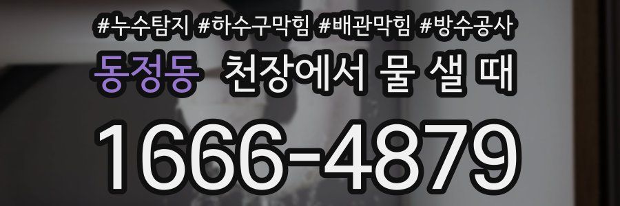 동정동 천장에서 물 샐 때