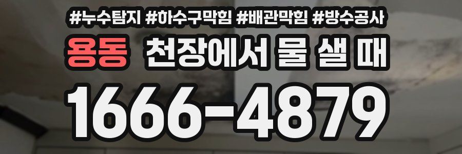 용동 천장에서 물 샐 때