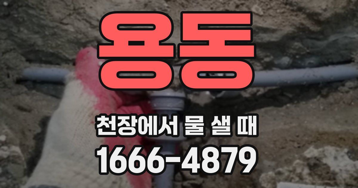 용동 천장에서 물 샐 때