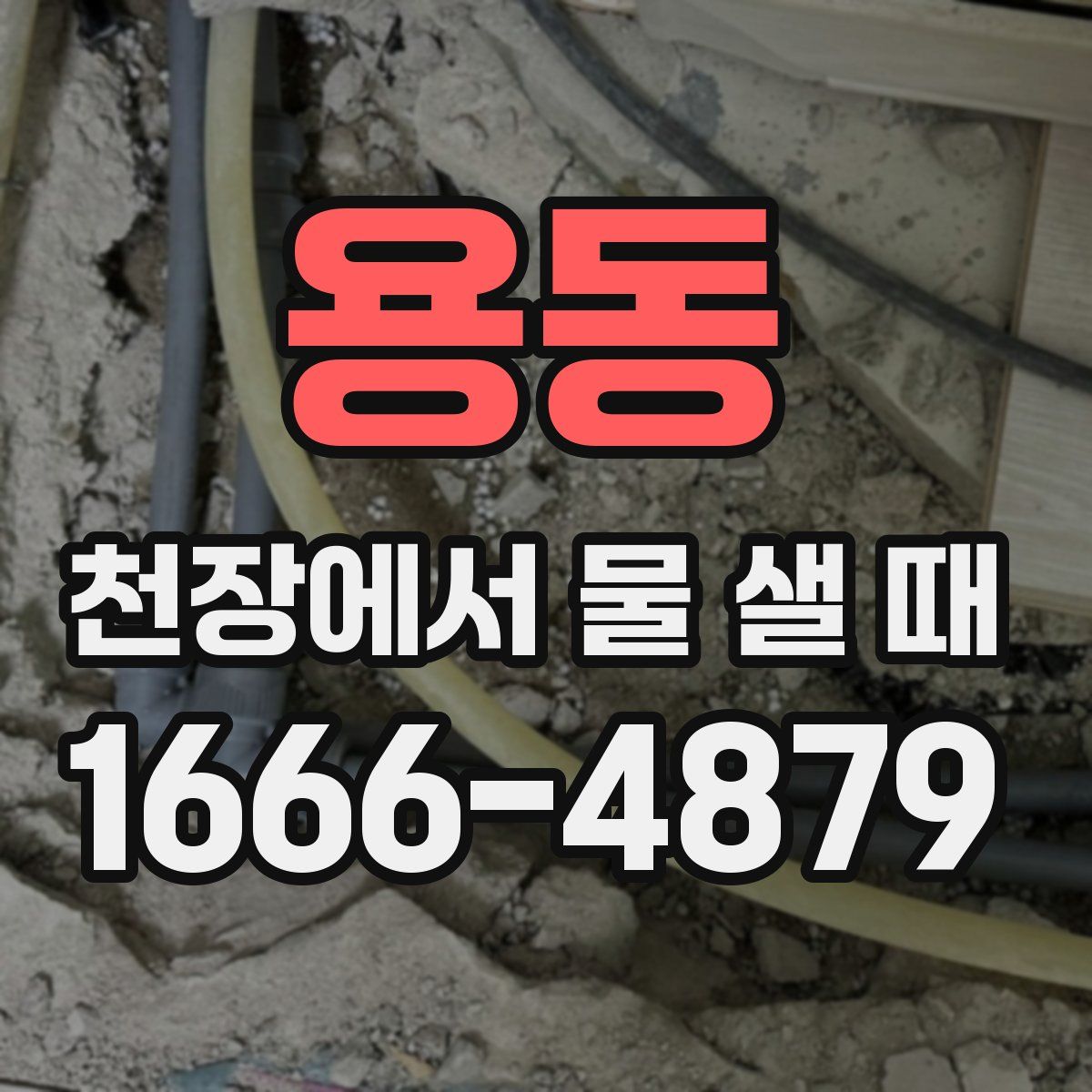 용동 천장에서 물 샐 때