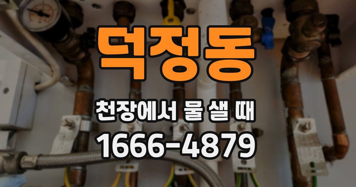 덕정동 천장에서 물 샐 때