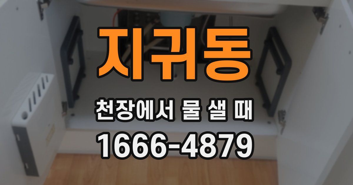 지귀동 천장에서 물 샐 때