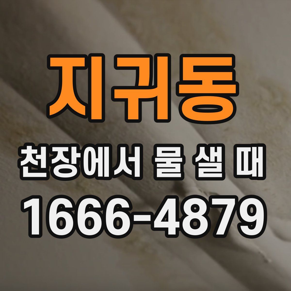 지귀동 천장에서 물 샐 때